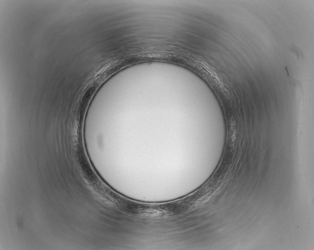 X0000116130542200911230953