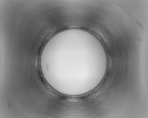 X0000116130545200911230953