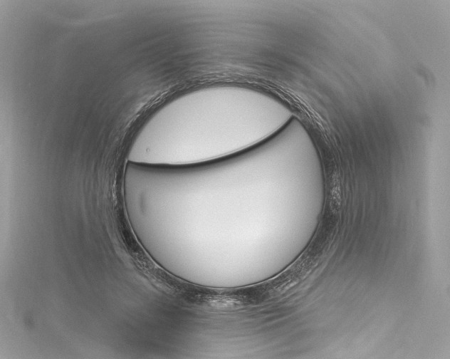 X0000116130547200911230953