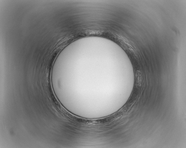 X0000116130550200911230953