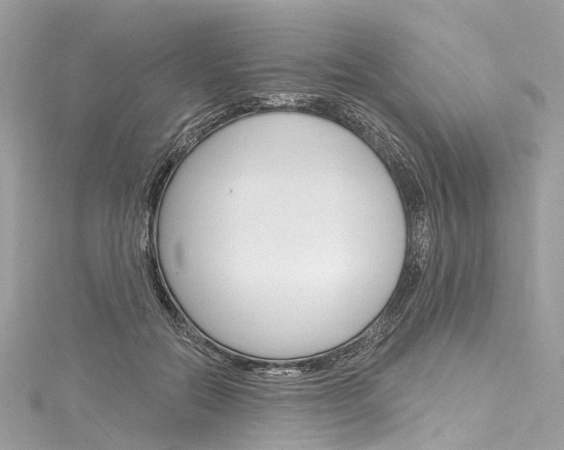 X0000116130554200911230953