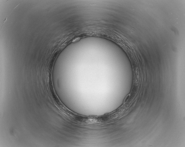 X0000116130562200911230953