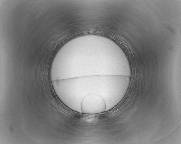 X0000116130563200911230954