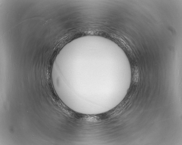 X0000116130569200911230954