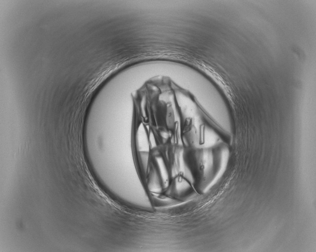 X0000116130577200911230953