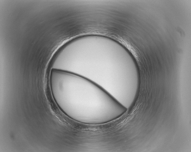 X0000116130580200911230953