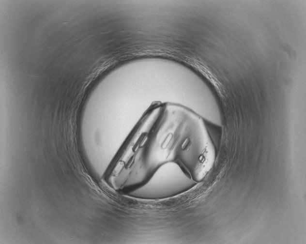 X0000116130585200911230953
