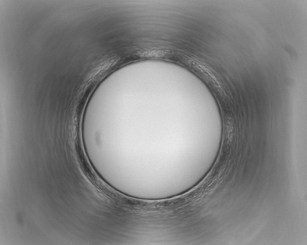 X0000116130586200911230953