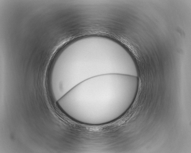 X0000116130587200911230953