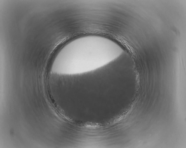 X0000116130591200911230953