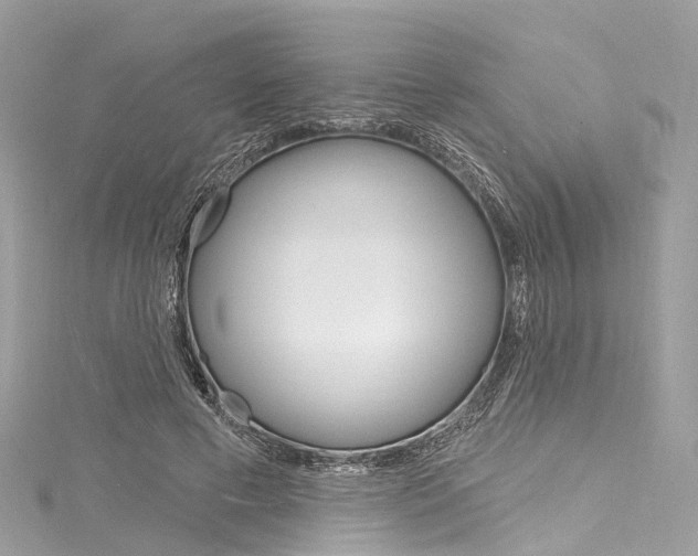 X0000116130593200911230953