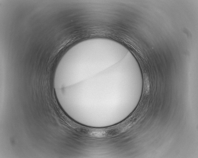 X0000116130595200911230953