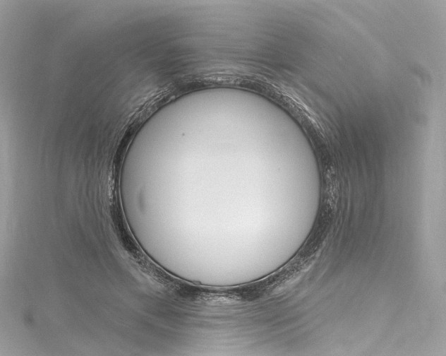 X0000116130597200911230953