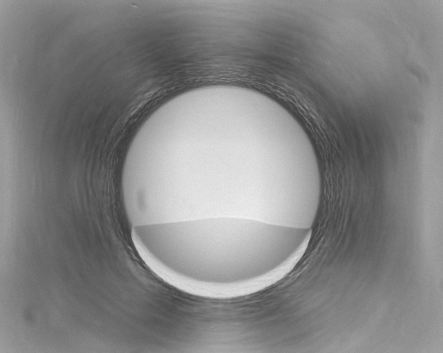 X0000116130599200911230953