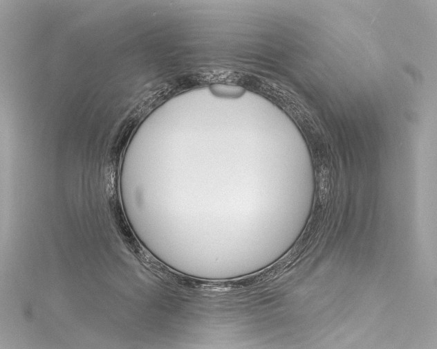 X0000116130602200911230953