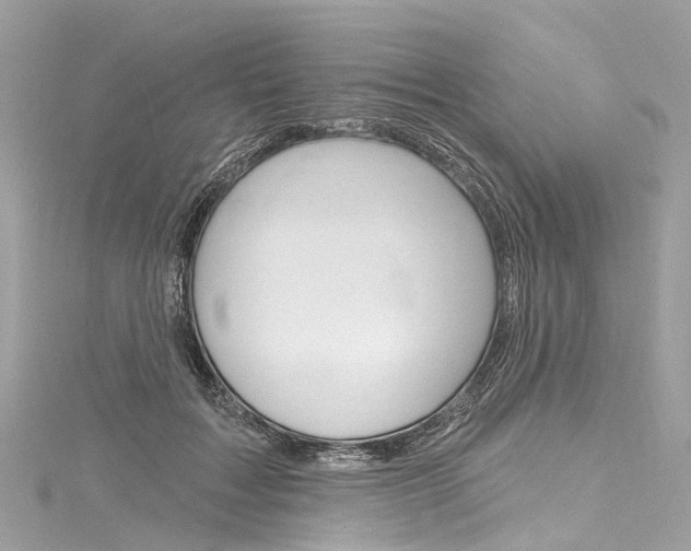 X0000116130603200911230953