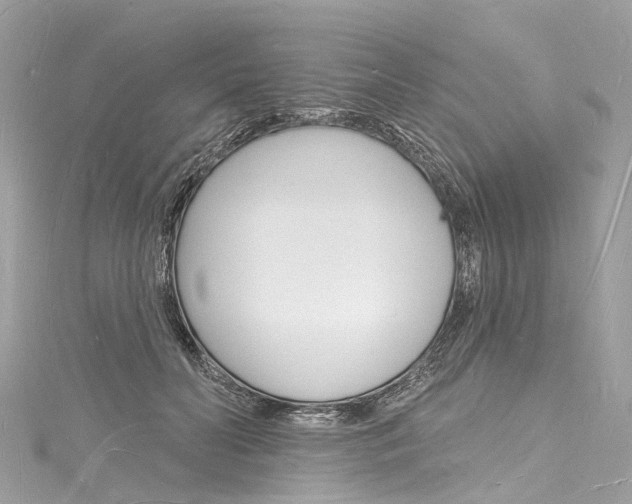 X0000116130606200911230953