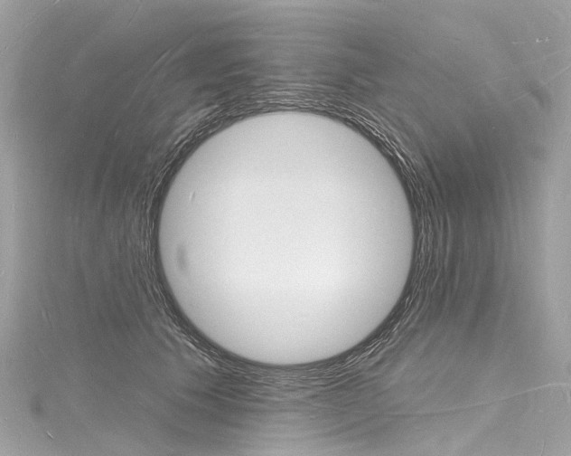 X0000116130609200911230953