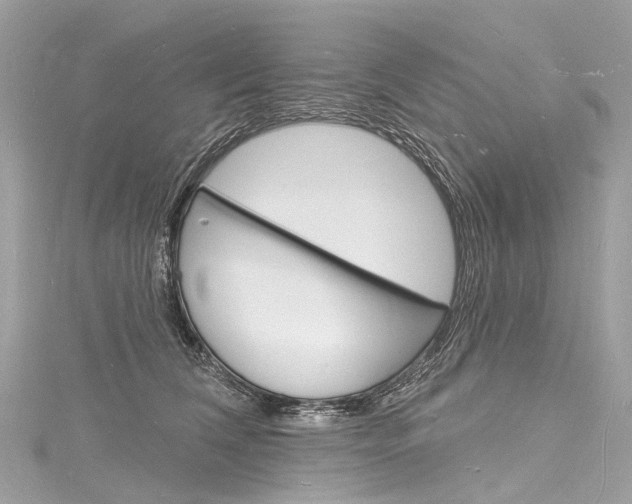 X0000116130612200911230953