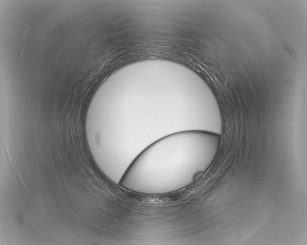X0000116130613200911230953