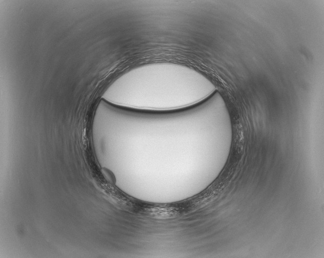 X0000116130615200911230953
