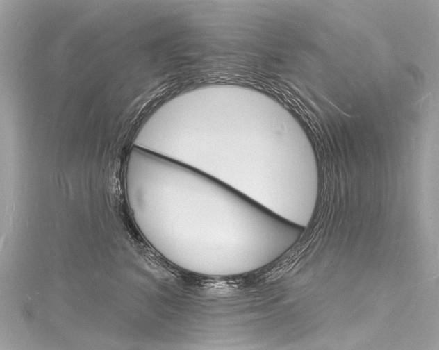 X0000116130616200911230953