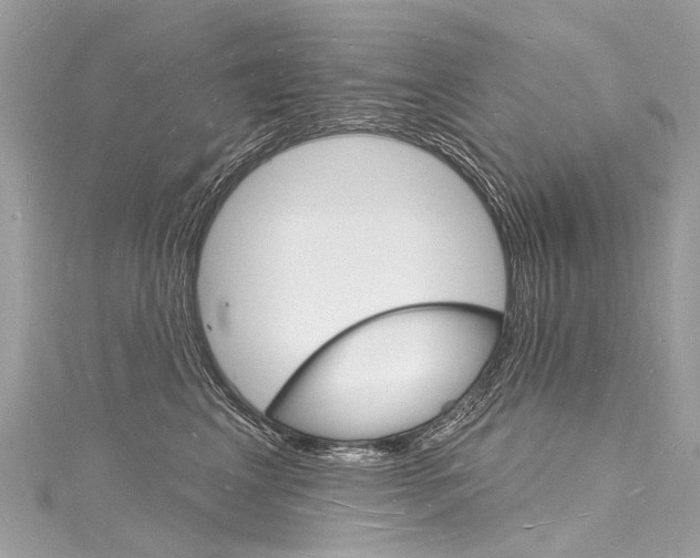 X0000116130617200911230953