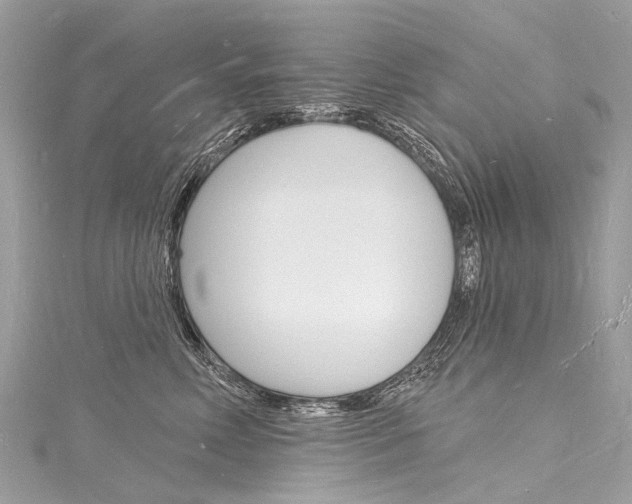 X0000116130618200911230953