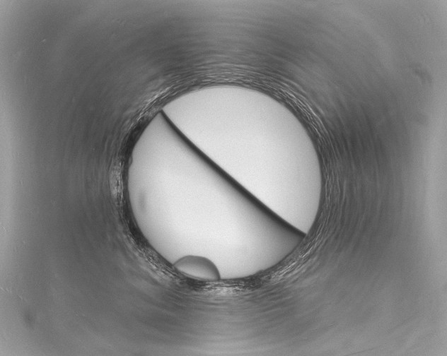 X0000116130620200911230953