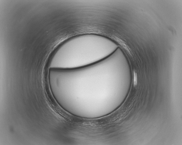 X0000116130627200911230952