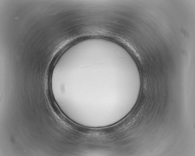 X0000116130629200911230952