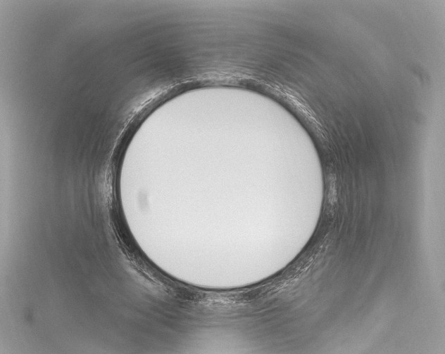 X0000116130632200911230952