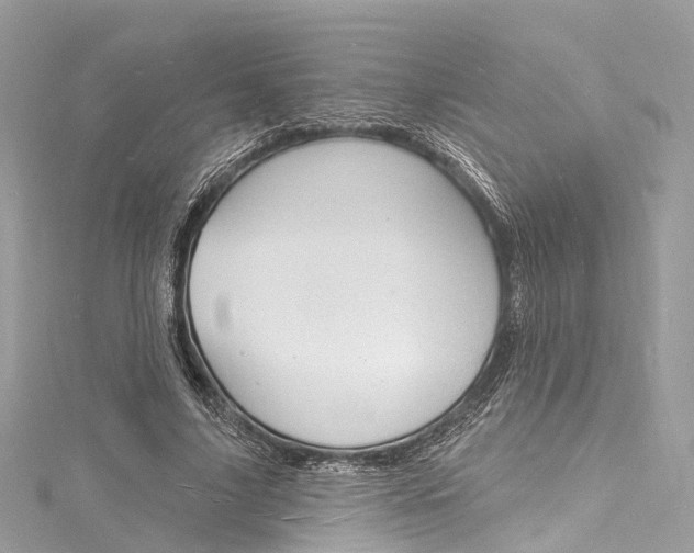 X0000116130635200911230952