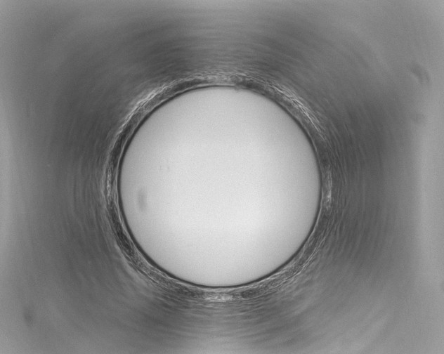X0000116130636200911230952