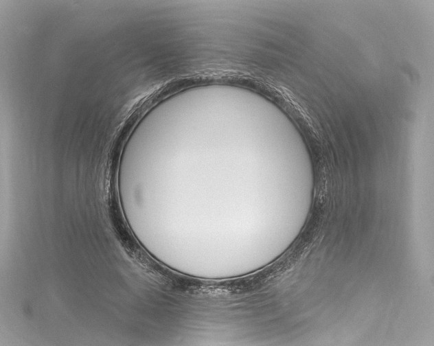 X0000116130640200911230952
