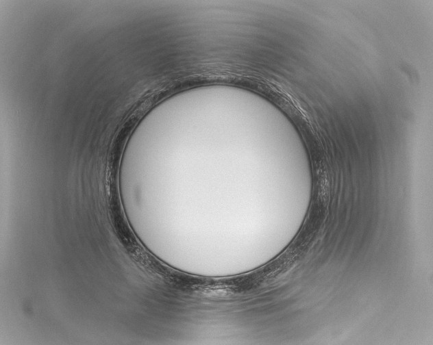 X0000116130643200911230952
