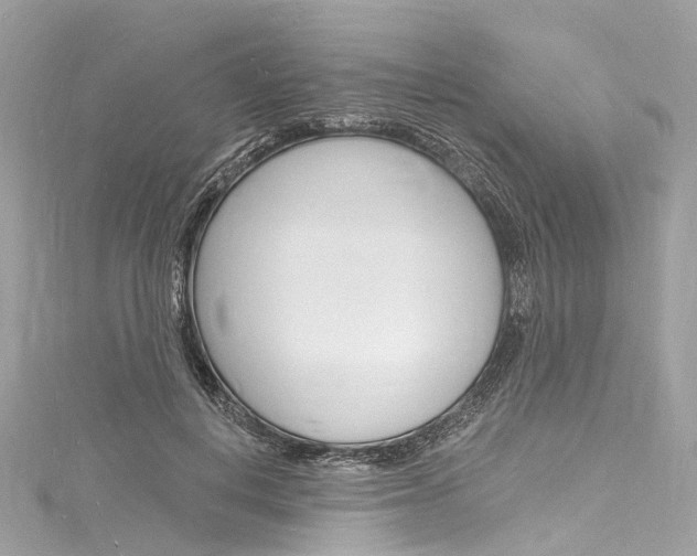 X0000116130648200911230952