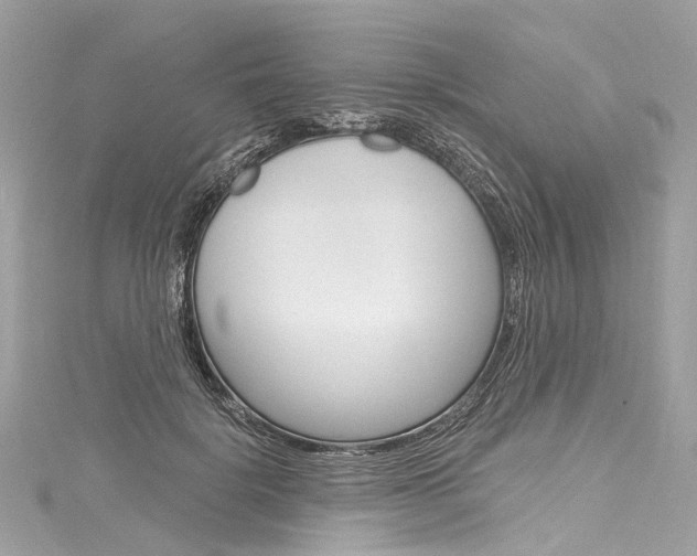 X0000116130652200911230952