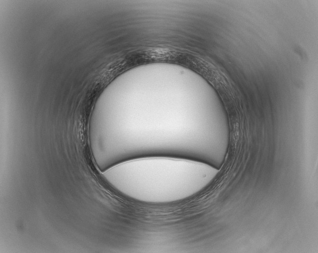 X0000116130653200911230952