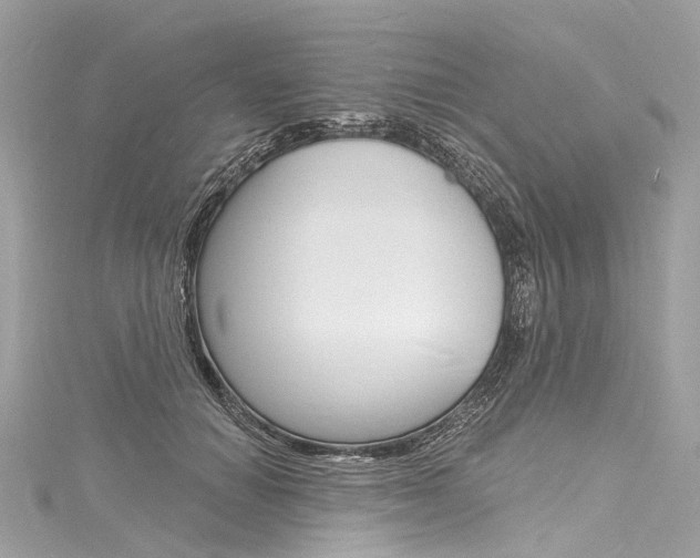 X0000116130654200911230952