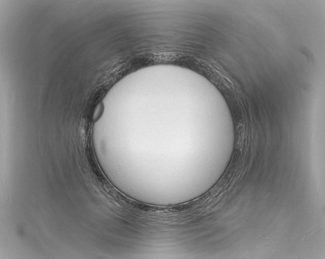 X0000116130655200911230952