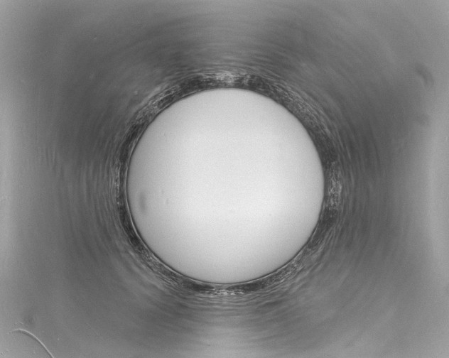 X0000116130656200911230952
