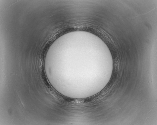 X0000116130660200911230952