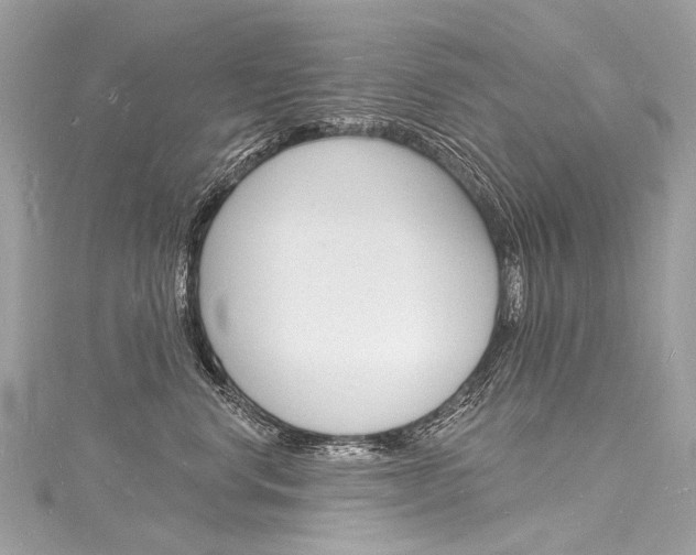 X0000116130668200911230952