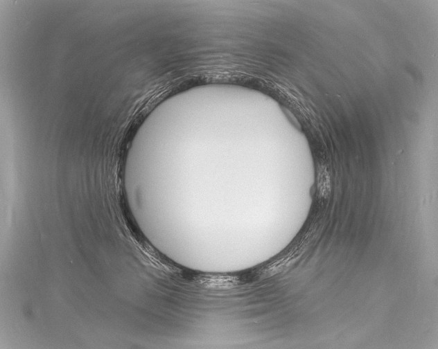 X0000116130670200911230952