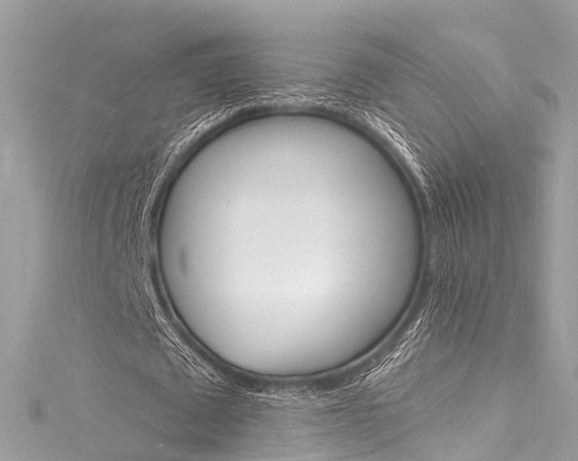 X0000116130673200911230952