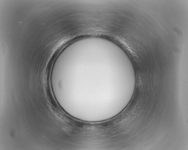 X0000116130679200911230952