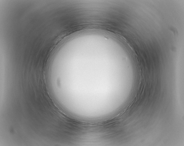 X0000116130701200911230951
