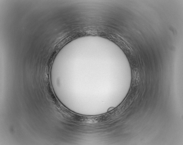 X0000116130702200911230951