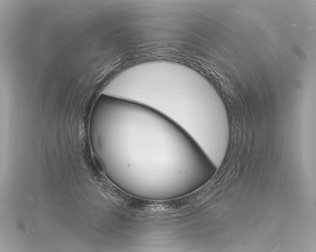 X0000116130704200911230951